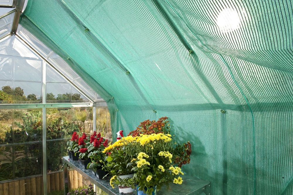 Green shade netting clipped inside a greenhouse roof, cutting the midday sun above staged pot plants