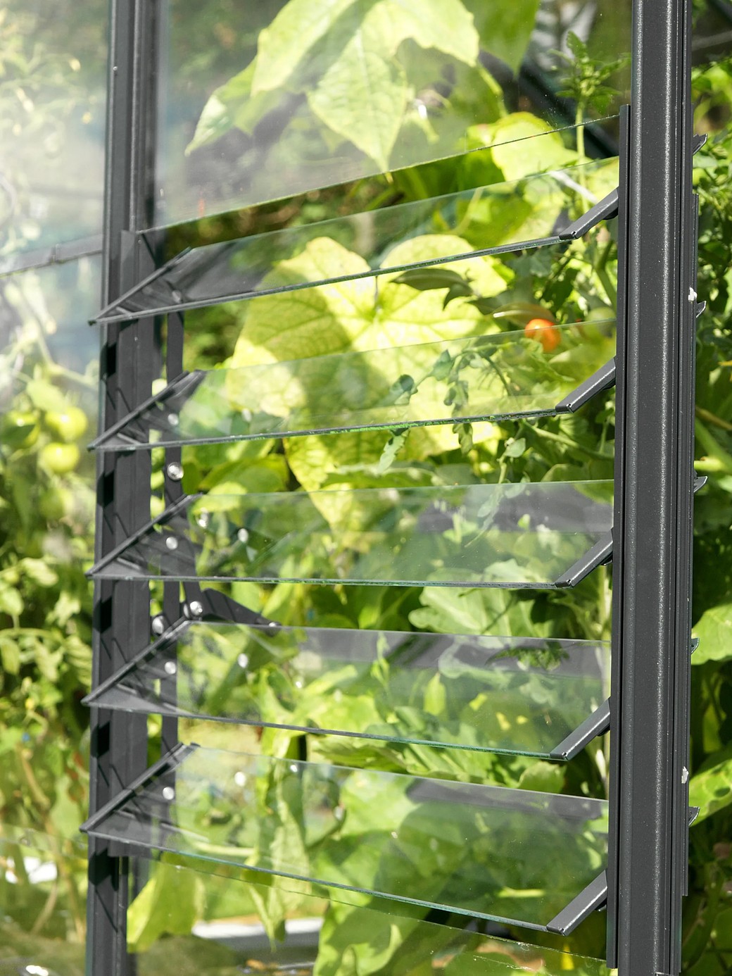 Vitavia five-blade louvre window with the blades open on a greenhouse gable, drawing cool air in at low level