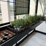 Janssens Seed Tray Shelving