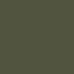 Olive green - RAL 6003