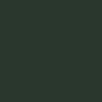 Fir green - RAL 6009