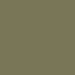 Reed green - RAL 6013