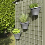Trellising Kit