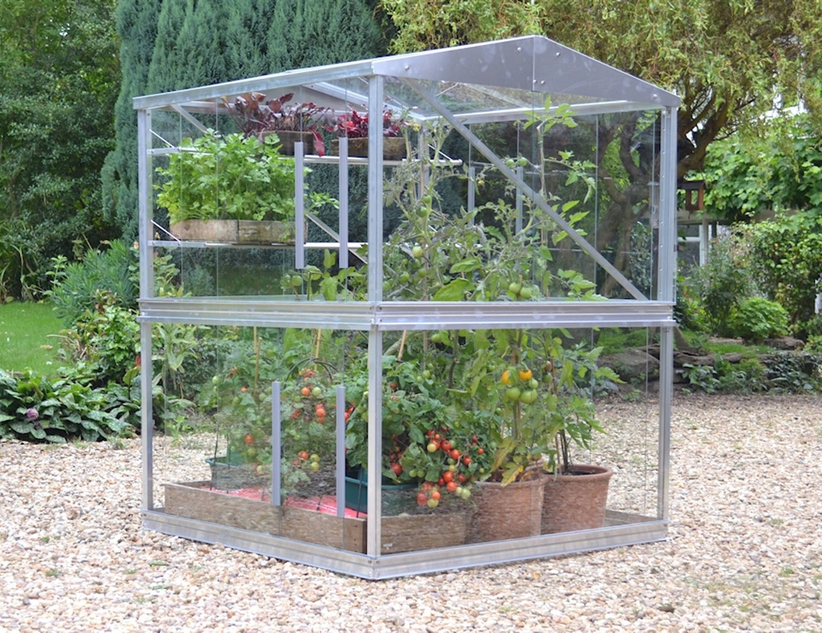 4x4-access-double-tomato-mini-