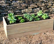 Raised Beds