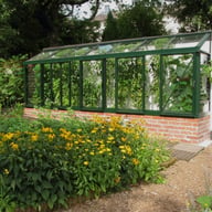 Janssens Arcadia Plus Mur dwarf wall lean-to greenhouse