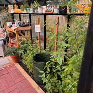 General Eos Junior greenhouse view - colour shown may vary