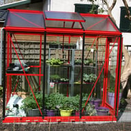 ACD P03 Piccolo Urban Greenhouse RAL Colour - manufacturer photograph