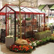 ACD P04 Piccolo Urban Greenhouse RAL Colour - manufacturer photograph