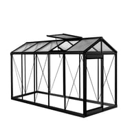 ACD P05 Piccolo Urban Greenhouse RAL Colour - manufacturer photograph