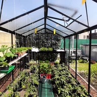 ACD R205 Straight Wall Greenhouse Black - manufacturer photograph
