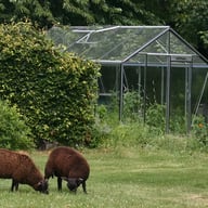 ACD R305 Straight Wall Greenhouse Silver - manufacturer photograph