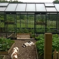 ACD R308 Straight Wall Greenhouse Black - manufacturer photograph