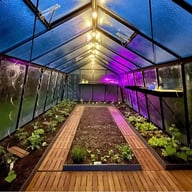ACD S208 Sloping Wall Greenhouse Black - manufacturer photograph
