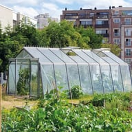 ACD 12x20 Sloping Wall Greenhouse Silver - same-width model photograph; different length