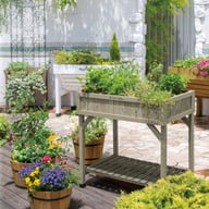 Herb Garden - Grey Wash - image 2