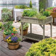 Herb Garden - Grey Wash - image 4