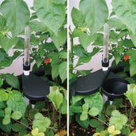 Classic Self-Watering Kit 1m - image 3