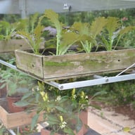 2x4 Access Aluminium Midi Greenhouse Shelving