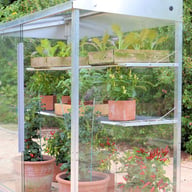 2x4 Access Aluminium Midi Greenhouse Toughened Glass