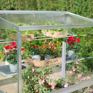 2x4 Access Mini Grownhouse Greenhouse