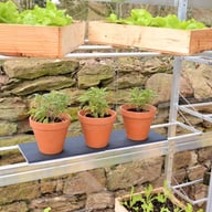 2x6 Access Midi Greenhouse Staging