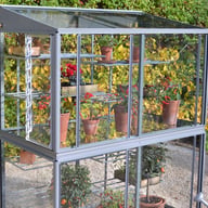 3x5 Access Exbury Mini Greenhouse Toughened Glass Ventilation