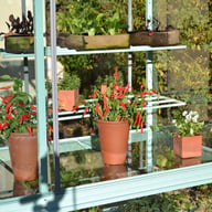 3x6 Access Exbury Mini Greenhouse with Toughened Glass Staging