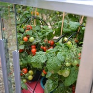 4x4 Access Mini Growhouse with Toughened Glass