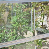 4x4 Access Tomato House with Toughened Glass