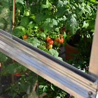 4x4 Access Mini Tomato house with Toughened Glass