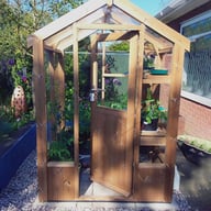 4x4 Swallow Lark Wooden Greenhouse