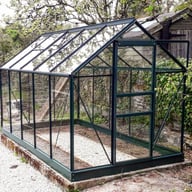 6x10 Green Vitavia Venus Greenhouse with Powder Coating