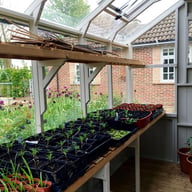 6x10 Swallow Jay Potting Shed in Cloud Grey Internal