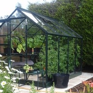 8x6 Green Halls Popular Greenhouse in Horticultural Glass