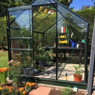 8x6 Green Halls Popular Greenhouse with Horticultural Glass