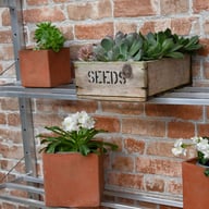 1x3 Access Half Westminster Mini Lean To Greenhouse Shelves