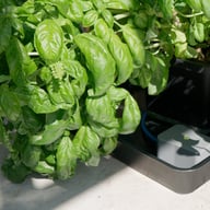 AutoPot easy2GO Kit - gallery