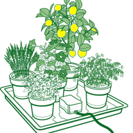 AutoPot easy2GO Kit - line drawing