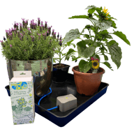 AutoPot easy2GO Kit - cutout