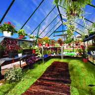 Palram Greenhouses Balance 8x12 Green Inside