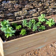 Access 4x2 Raised Wooden Bed