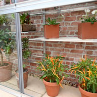 2x5 Access Harewood Mini Greenhouse Lower Shelves