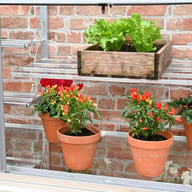 2x5 Access Harewood Mini Growhouse Shelving