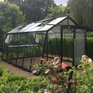 Black 10x14 ACD Greenhouse