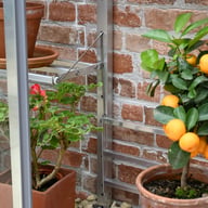 1x5 Access Half Westminster Mini Lean To Greenhouse Aluminium Shelving