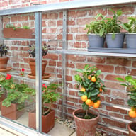 1x5 Access Half Westminster Mini Lean To Growhouse Aluminium