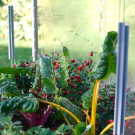 Access 8x4 Coldframe with Toughened Glass