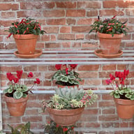 3x6 Access Hampton D  Mini Greenhouse Folding Staging