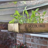 3x6 Access Hampton D  Mini Greenhouse High Shelving